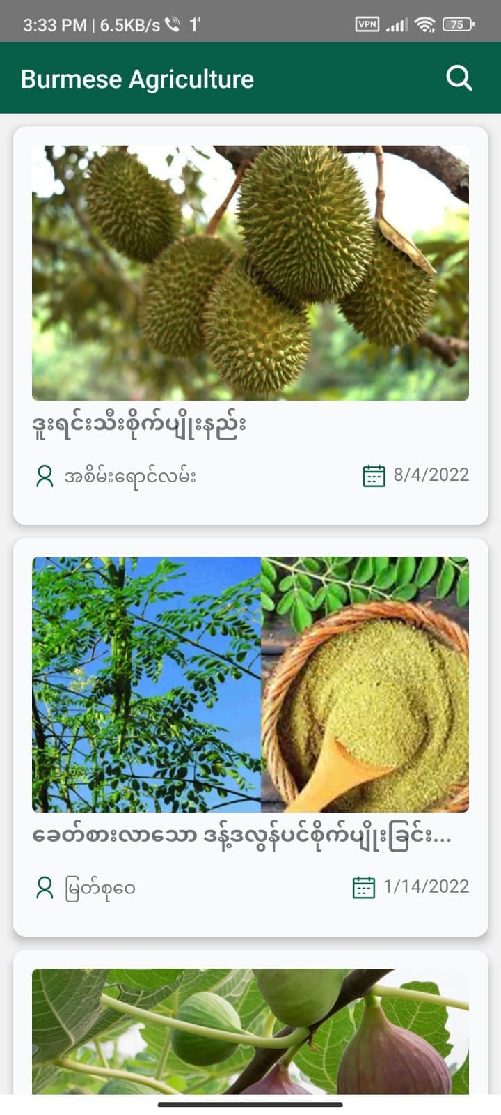 Burmese Agriculture